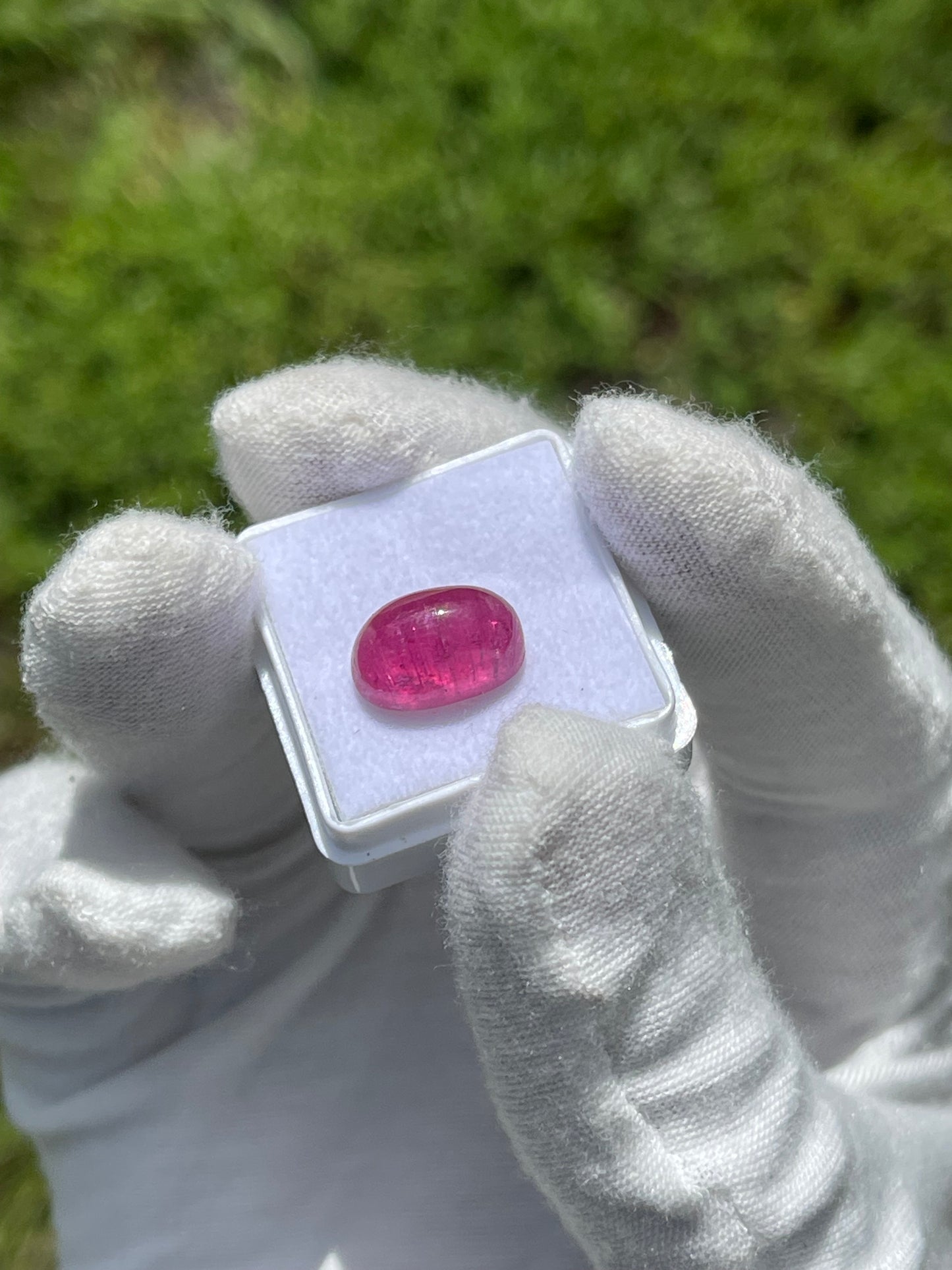 Exquisite 7.13 Carat CatsEye Rubellite Tourmaline Cabochon (13 x 8.3 x 6.7 MM)