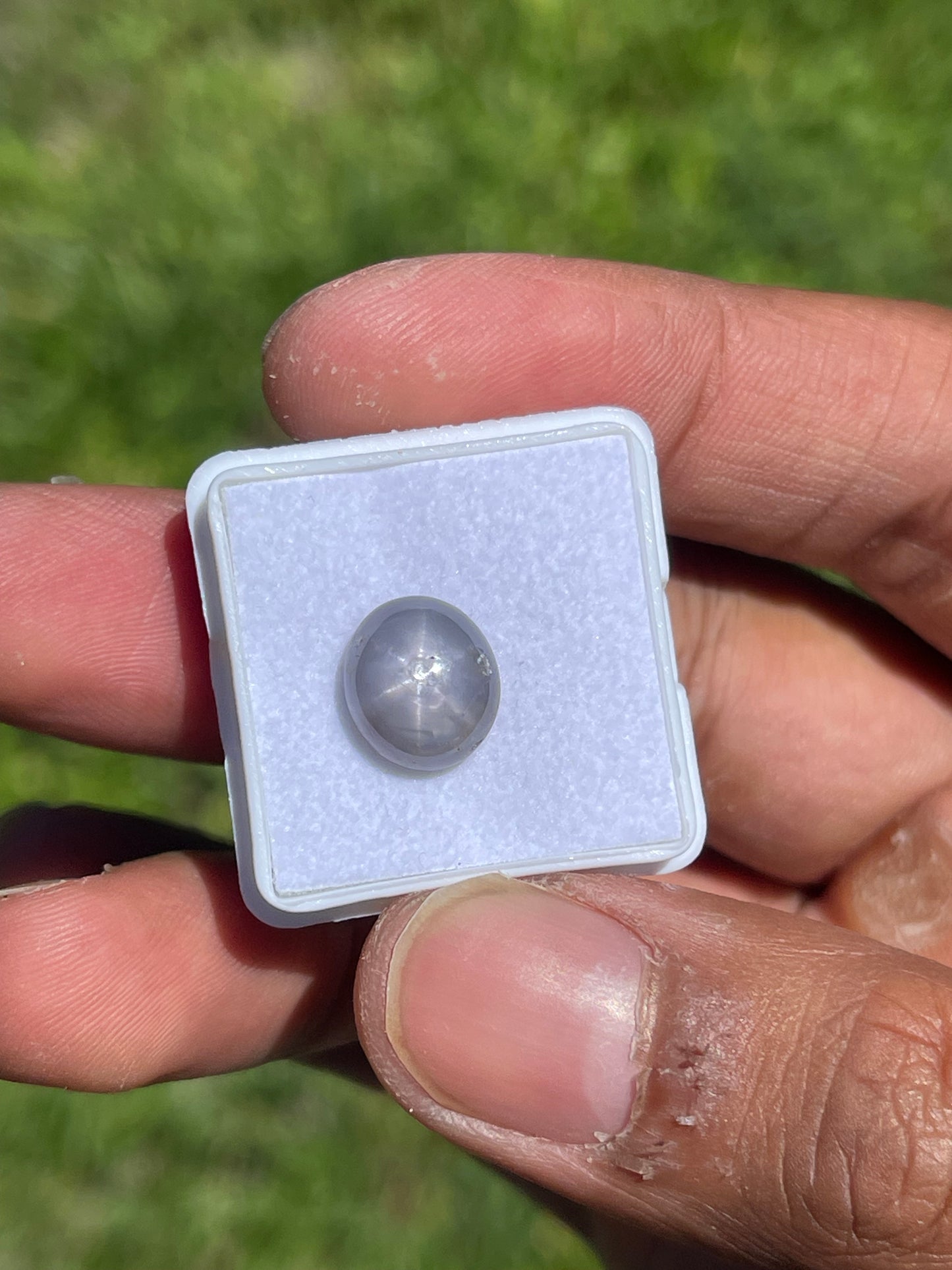5.92 Carat Natural Star Sapphire Cabochon Cut Loose Gemstone (10.8 x 9.5 x 4.9 MM)