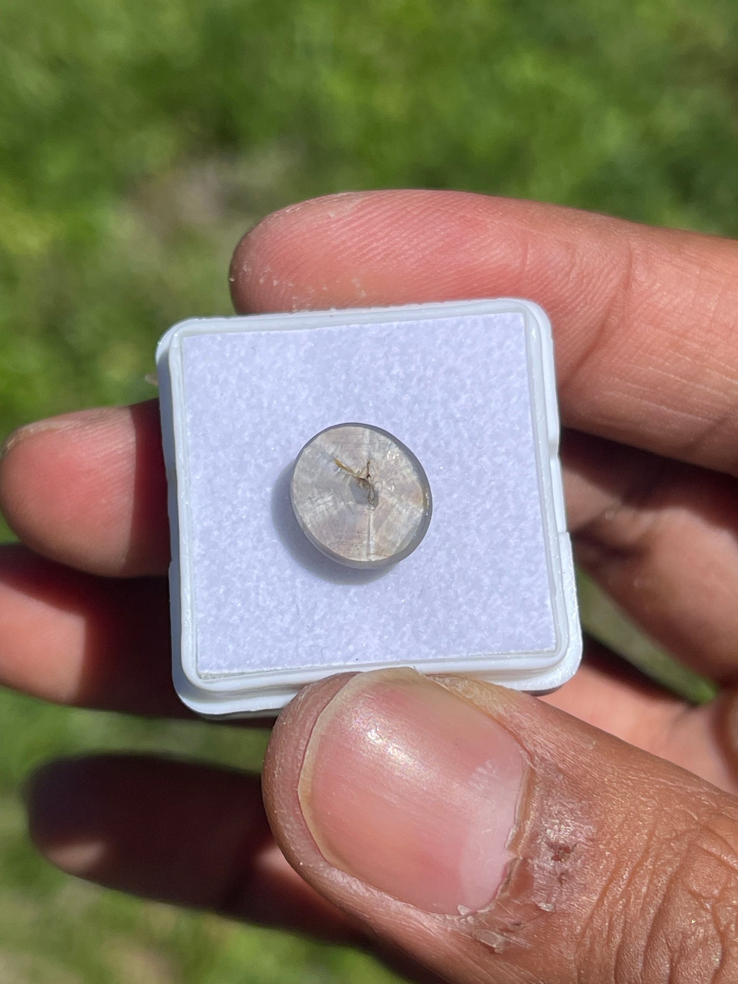 5.92 Carat Natural Star Sapphire Cabochon Cut Loose Gemstone (10.8 x 9.5 x 4.9 MM)