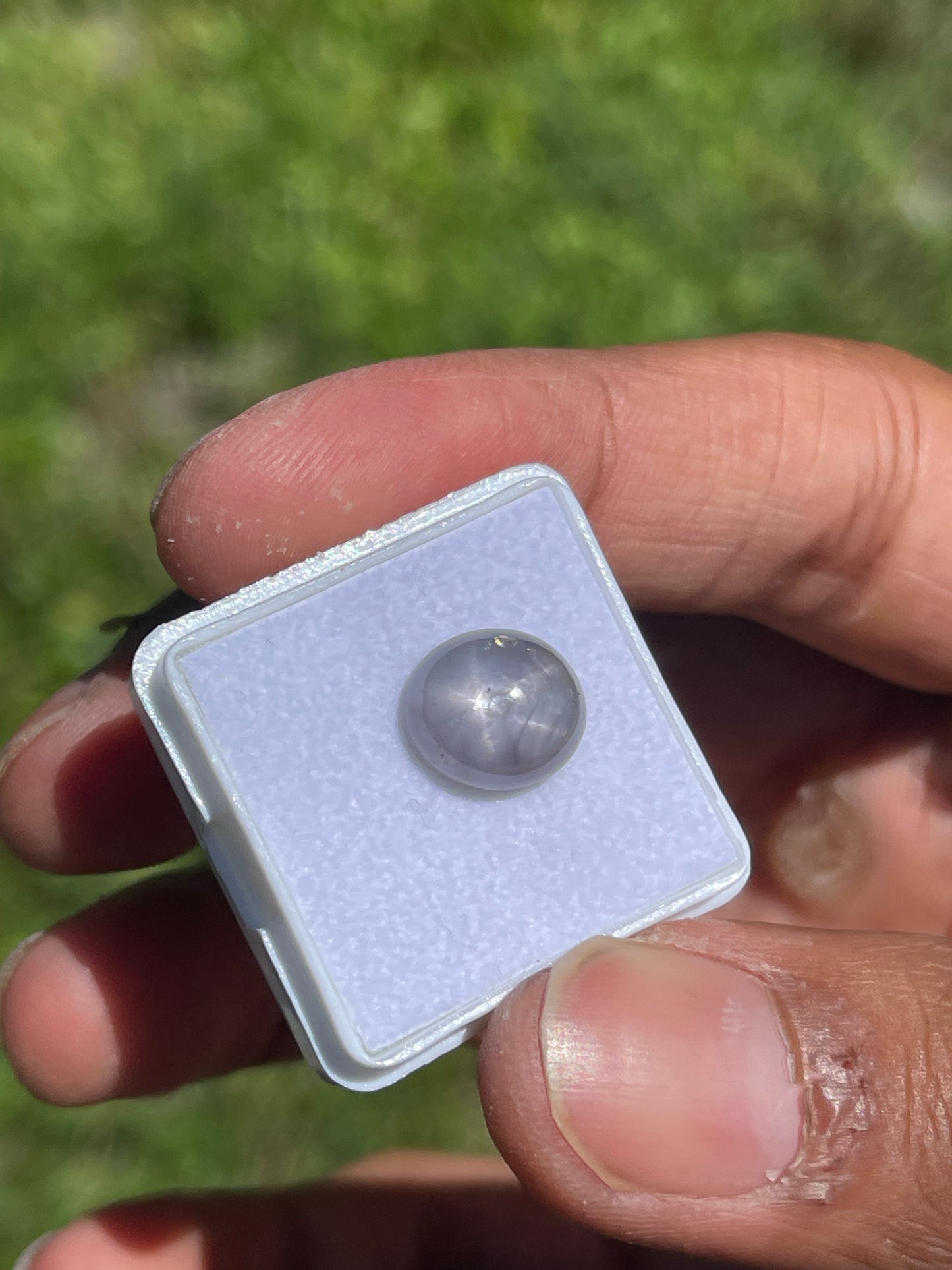 5.92 Carat Natural Star Sapphire Cabochon Cut Loose Gemstone (10.8 x 9.5 x 4.9 MM)