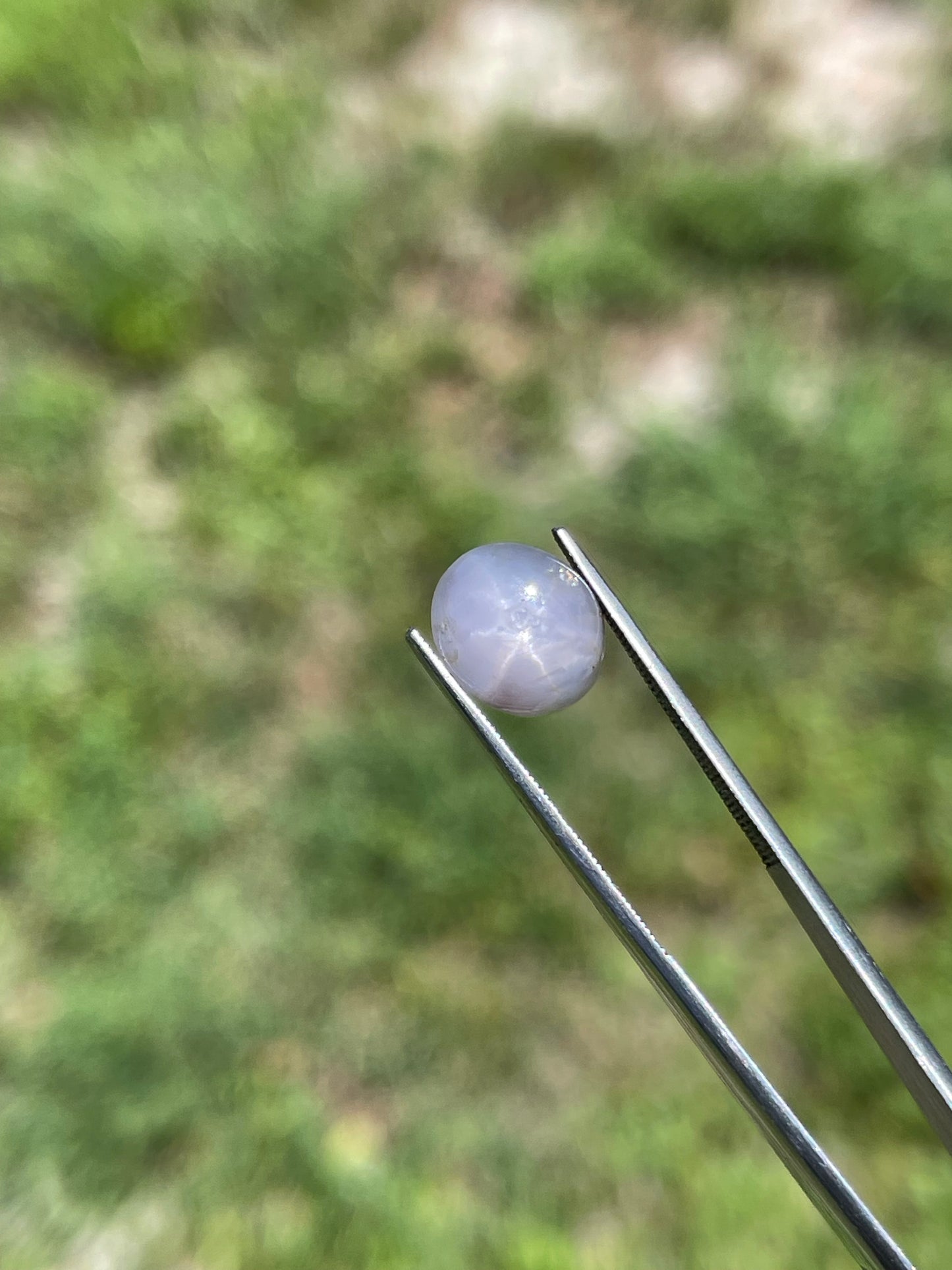 5.92 Carat Natural Star Sapphire Cabochon Cut Loose Gemstone (10.8 x 9.5 x 4.9 MM)