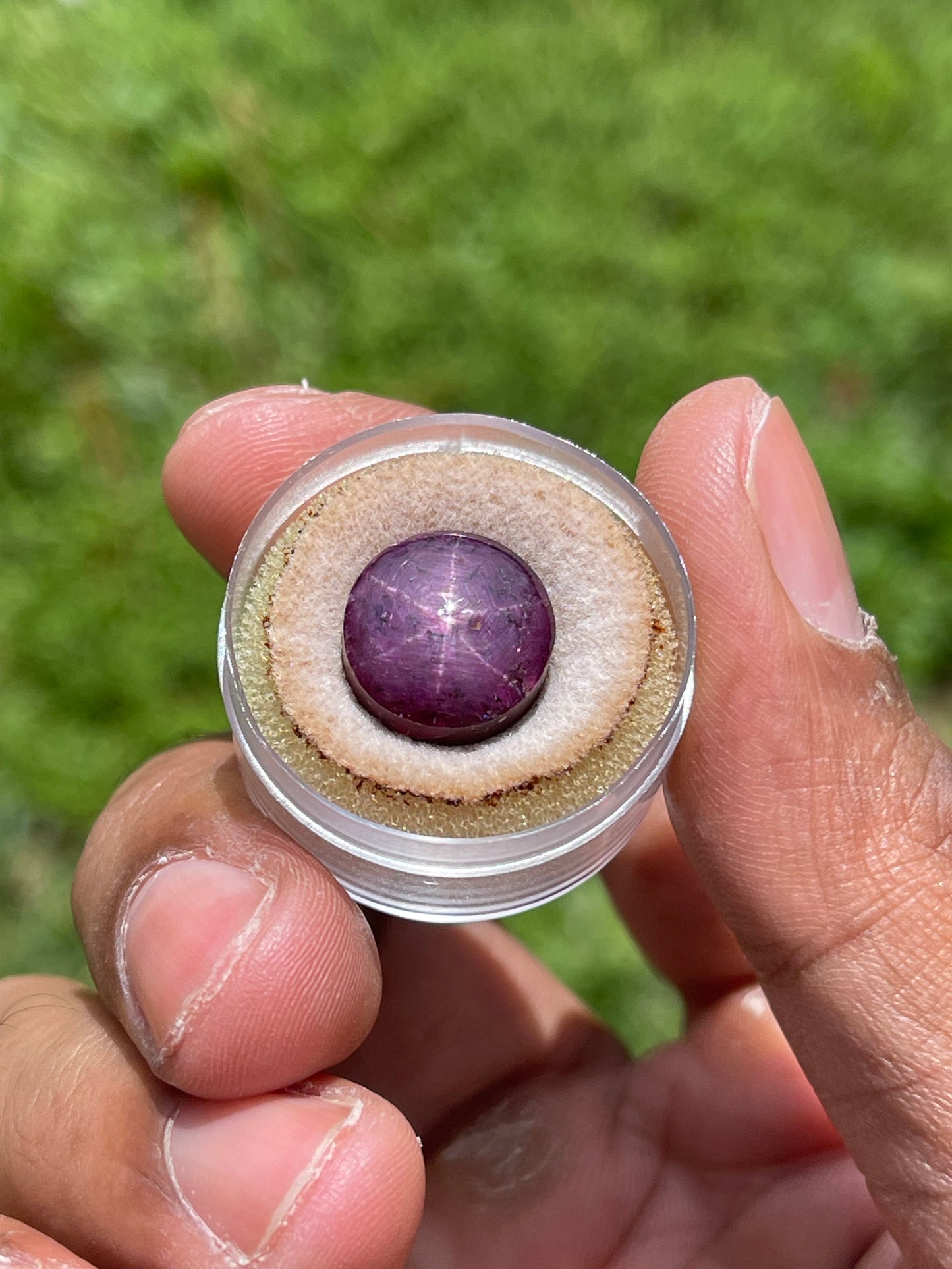 17.37 Carat Natural Star Ruby Cabochon Cut Loose Gemstone (13x13x7.7 MM)