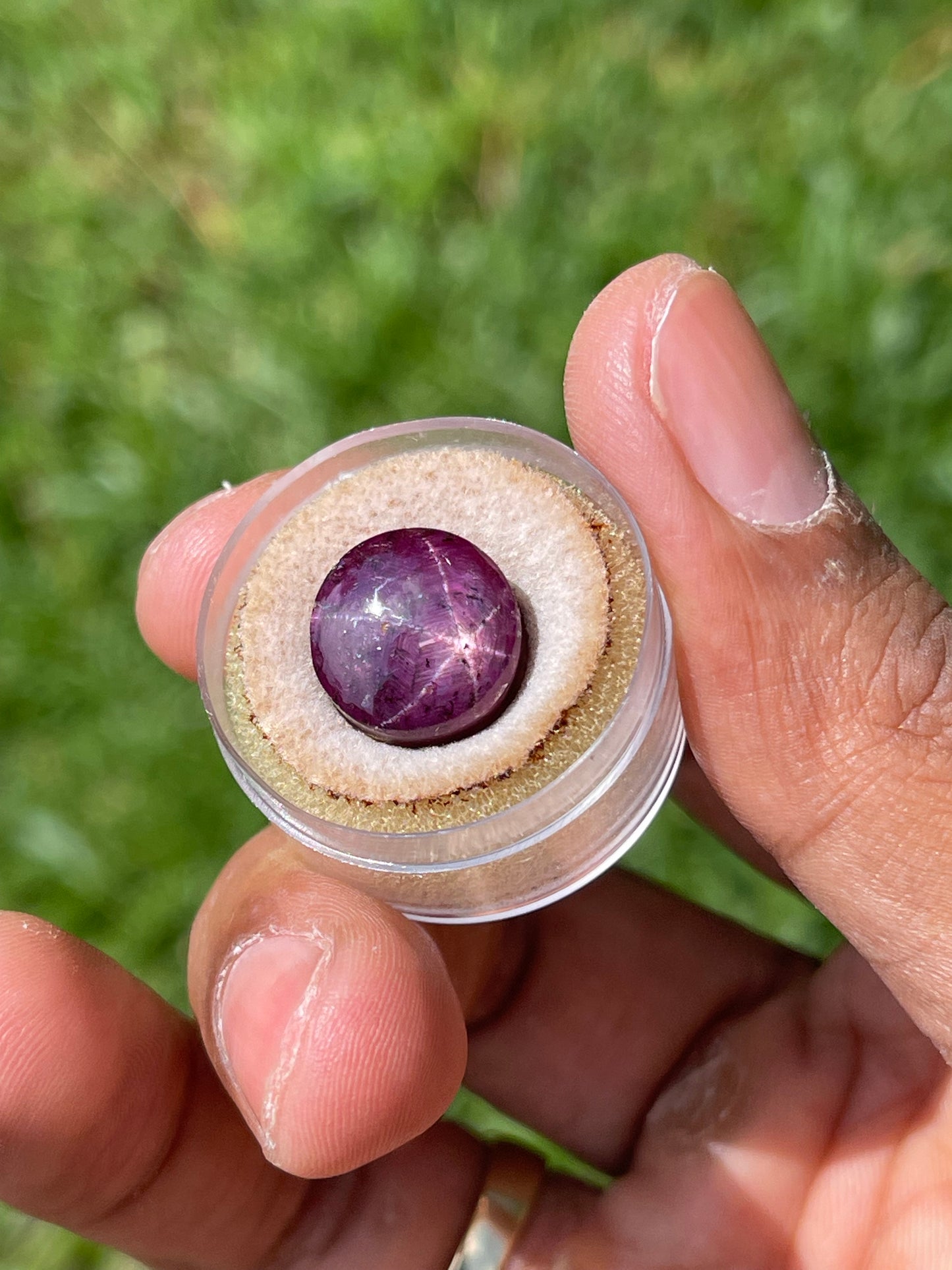 17.37 Carat Natural Star Ruby Cabochon Cut Loose Gemstone (13x13x7.7 MM)