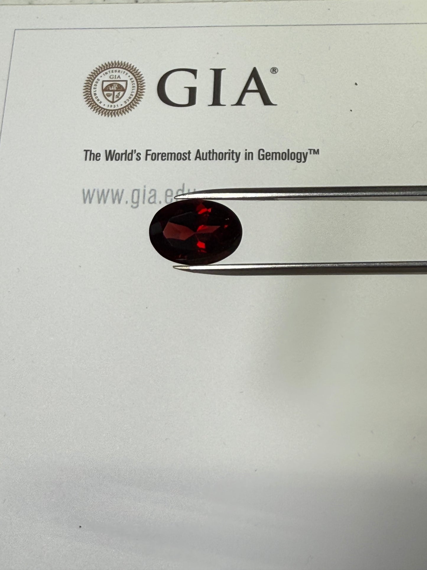 6.31 Carat Natural Garnet Oval Cut Loose Gemstone | 13.5x9.7x6.6 MM