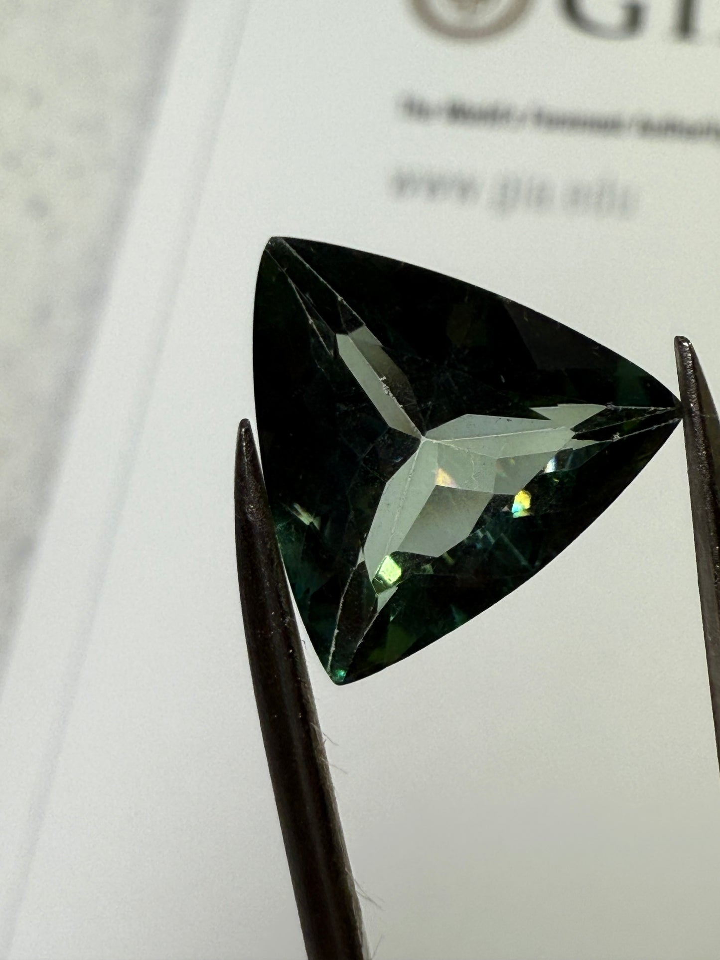 Natural Teal Tourmaline 5.26 Carat Trillion Cut Loose Gemstone | Vibrant Paraiba-Like Color