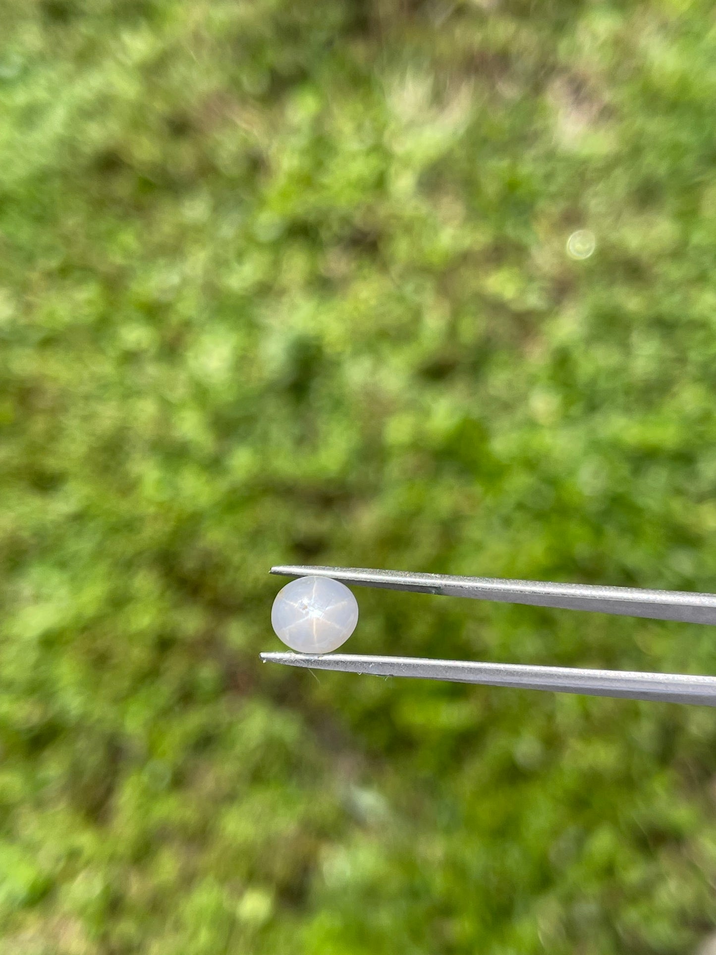 Natural Star Sapphire Cabochon - 3.75 Carats | High-Quality Asterism | 7.9 x 7.9 x 5.5 MM