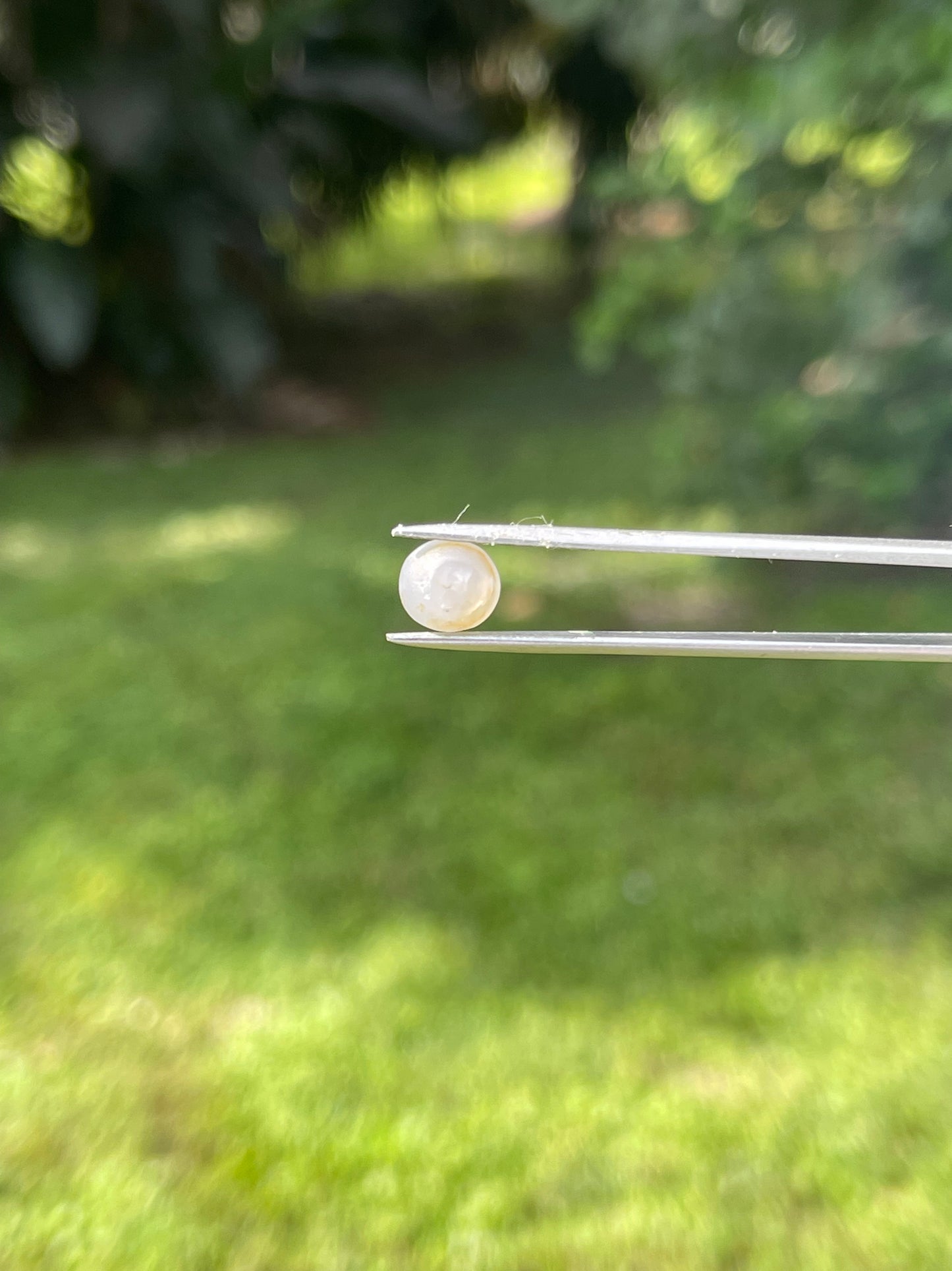 Natural Star Sapphire Cabochon - 3.75 Carats | High-Quality Asterism | 7.9 x 7.9 x 5.5 MM
