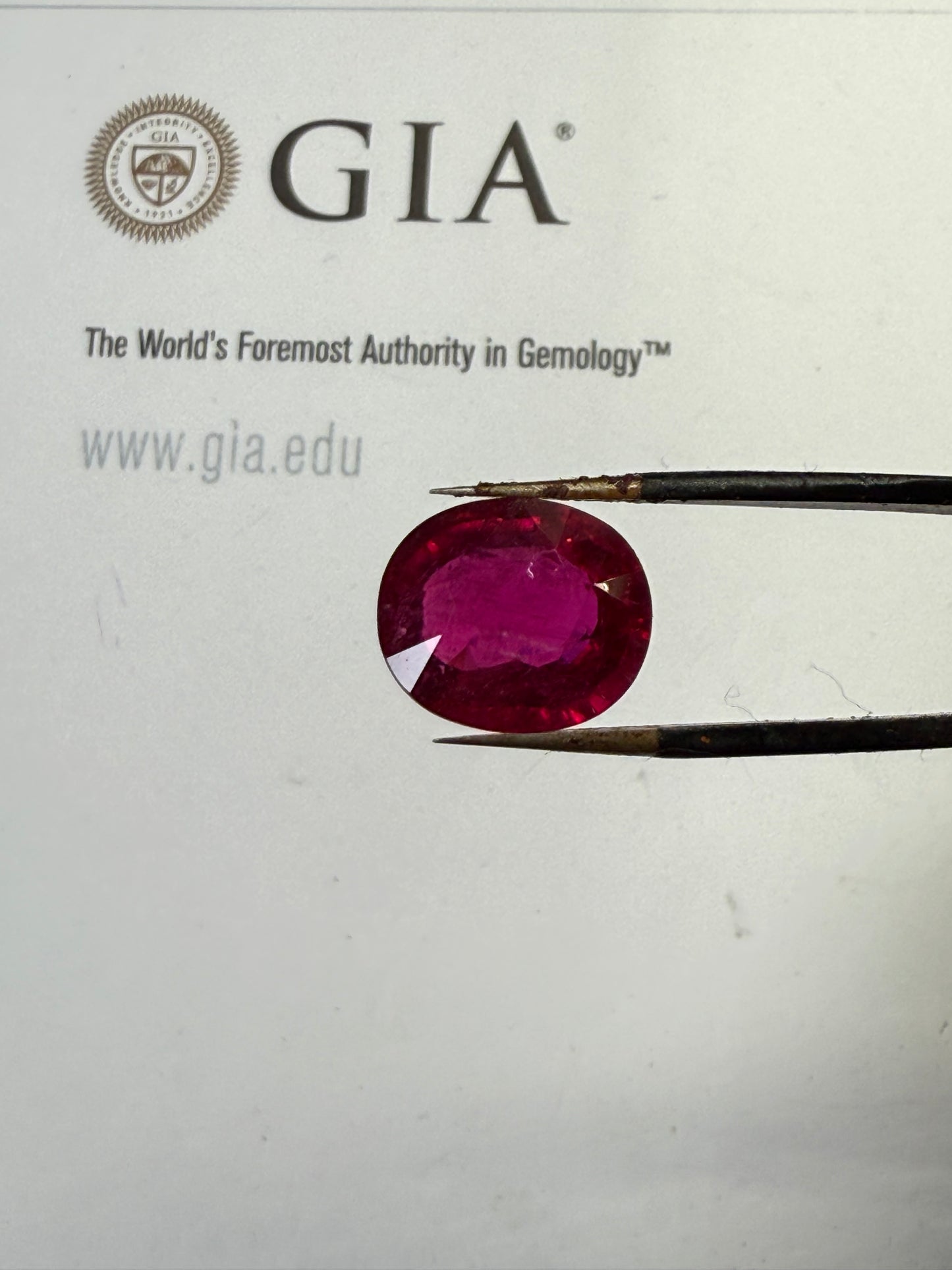 Natural 6.16ct Rubellite Tourmaline Oval Cut Loose Gemstone – Anaconda Mine Brazil | Collector Grade