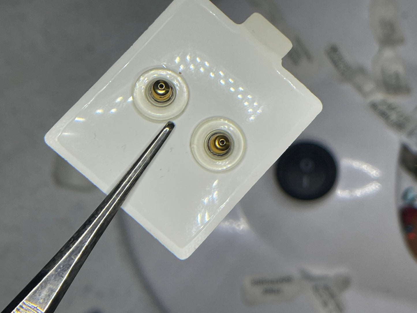 Midnight Sapphire 14K Yellow Gold Stud Earrings