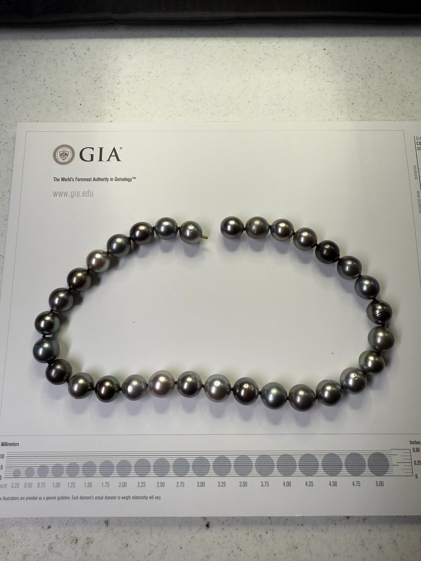 Natural Tahitian South Sea Pearl Necklace 17.5” – 13.5-14MM Lustrous Pearls – Rare Size & Invisible Screw Clasp