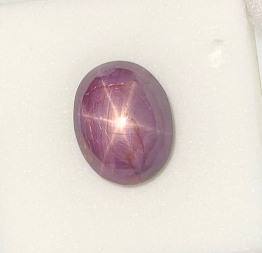 14.40 Carat Natural Star Ruby Cabochon | 6-Leg Asterism | 14x11x8 MM | Loose Gemstone