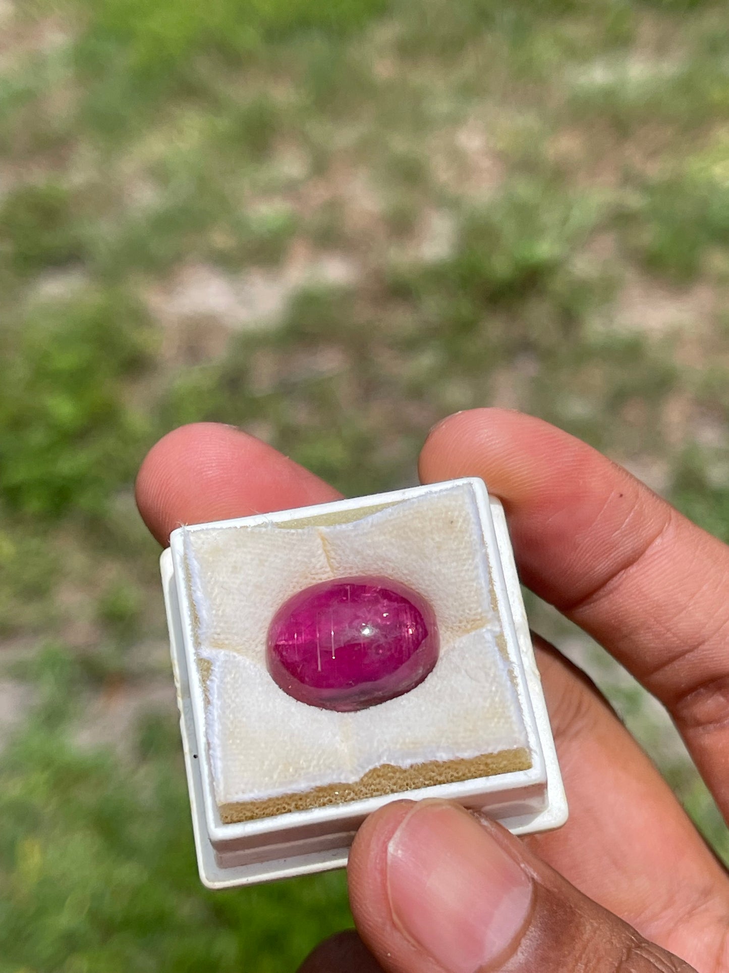 16.38 Carat Natural Cats Eye Rubellite Tourmaline Cabochon Loose Gemstone (18.10 x 13.89 x 7.55 MM)