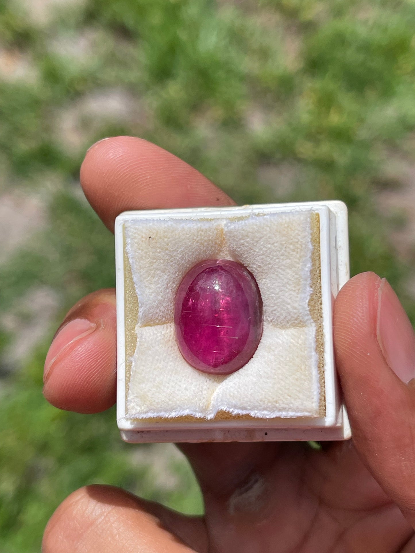 16.38 Carat Natural Cats Eye Rubellite Tourmaline Cabochon Loose Gemstone (18.10 x 13.89 x 7.55 MM)