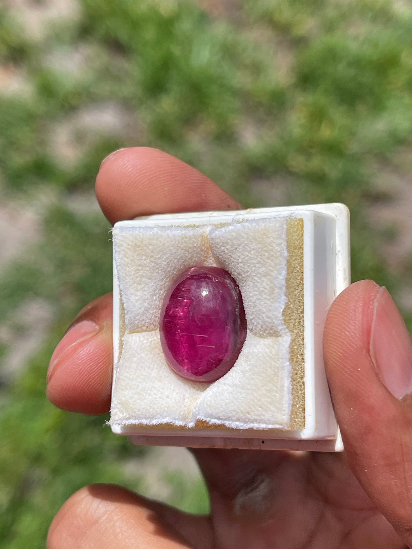 16.38 Carat Natural Cats Eye Rubellite Tourmaline Cabochon Loose Gemstone (18.10 x 13.89 x 7.55 MM)