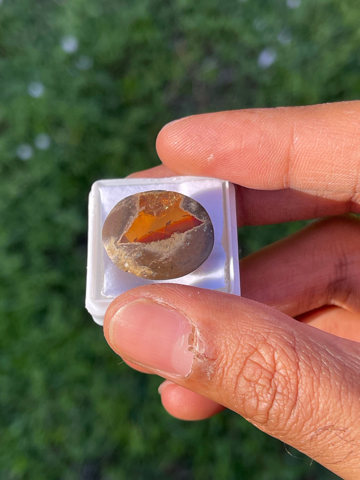 25.00 Carat Natural Mexican Opal Cabochon Cut Loose Gemstone (21.8 x 16 x 11.8 MM)
